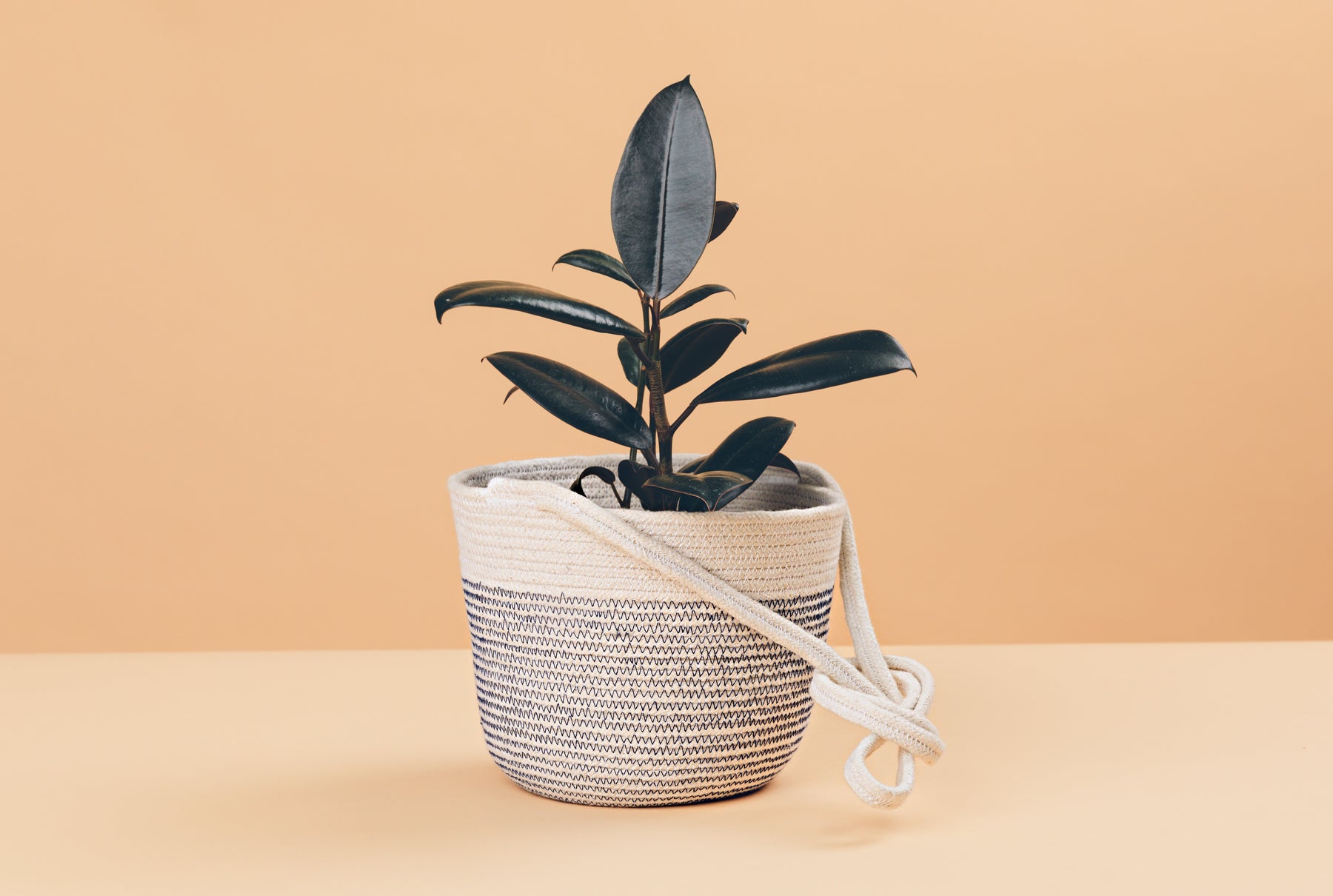 rubber hanging planter Hanging Planter – TetherMade